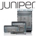 juniper-thumbnail